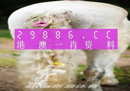 澳门一肖一码一一中特一中厂与2025澳门精准正版免费四不像,精选解析与警惕虚假宣传