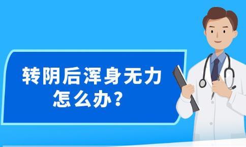 2025新澳精准正版免费大全与警惕虚假宣传-全面释义、解释与落实